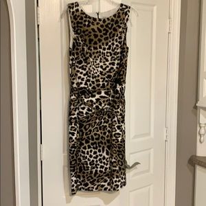 Cache Leopard Dress with matching belt